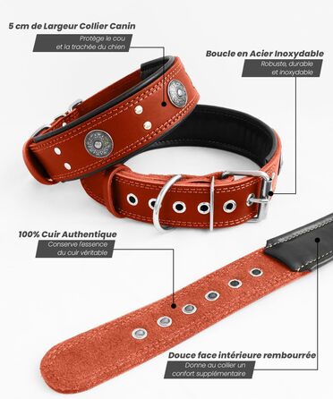Leather Dog Collar, 5 cm Wide Durable Genuine Leather Collar, Handcrafted, Soft and Luxurious, Eye-Catching Best Choice for Large and Medium Dog Breeds (42-52 cm, red)