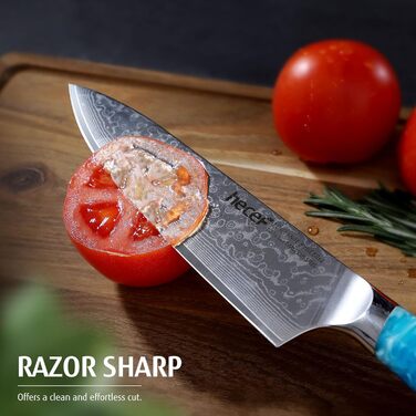 Японський ніж Hecef Damast 20 см з ручкою з харчової смоли: професійний кухонний ніж з дамаської сталі 67 шарів, з захистом для леза, подарунок для шеф-кухаря