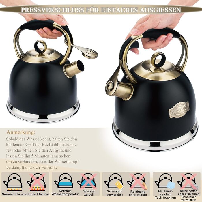 Чайник-свисток 3L з нержавіючої сталі, з термостійкою ручкою, для індукційних плит, чорний