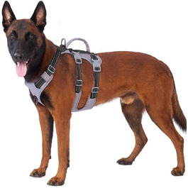 колір: чорний