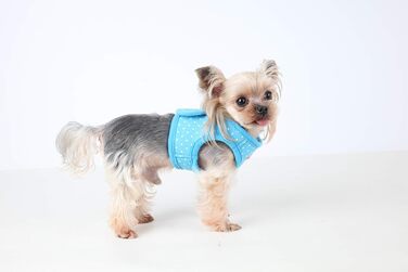 Нашийник для собак Puppia Dotty B небесно-блакитного кольору, середній розмір