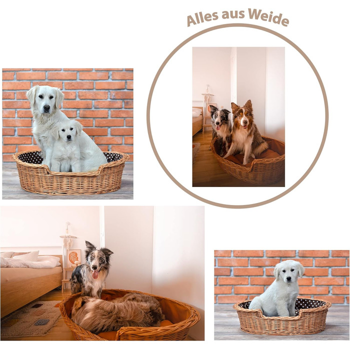 Wicker Dog Basket for Dog and Cat, Dog Bed, Cat Bed with Cushion, Pet Basket, Woven Cat Basket, 60x43 x H19 cm