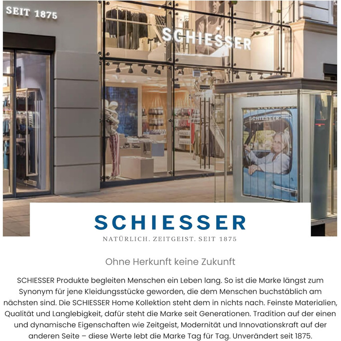 Ковдра Schiesser Lykke 4 сезони 3-в-1, 2 стьобані ковдри для літа і зими, наповнювач з переробленого поліестеру, гіпоалергенна, сертифікат Oeko-TEX, 135x200 см, виготовлено в ЄС