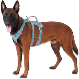 колір: блаугрін