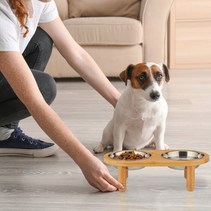 Relaxdays Dog Feeding Bar with 2 Bowls