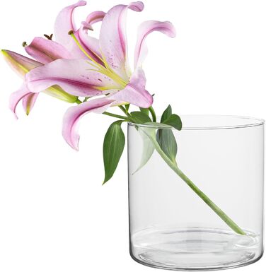 TREND Home Deko-Glass Containers 19 cm Cylinder Vase Flower Vase Candle Holder Stump Candles Candle Holders Glass Vase Floor Vase Large Decoration Wedding Transparent | Ø 19 cm | 4848 ml | Naida