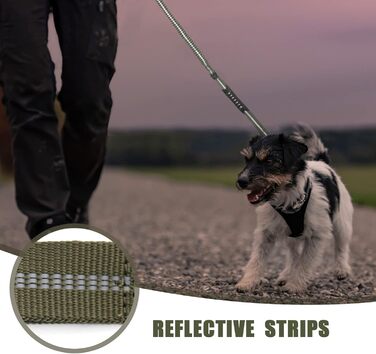 Міцна тактична повідка для собак Raiput Bungee з амортизатором, 1,2-1,8 м, карабін з фіксатором, світловідбиваючі елементи, для середніх собак (Ranger Green, Aviation aluminum)