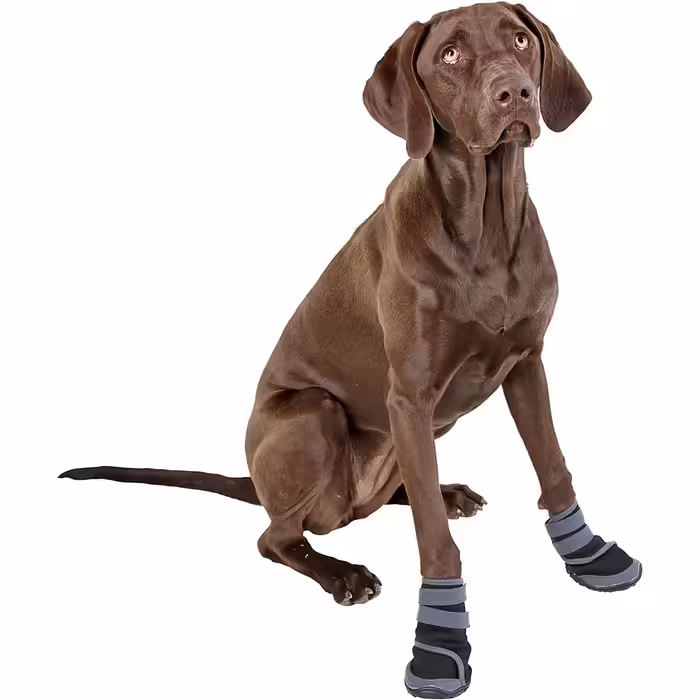 Kerbl Pet 80606 Paw Protection Active, M, gray/black gray/black M
