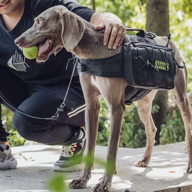 OneTigris Mammoth Hunderucksack 2.0: Рюкзак для собак середніх та великих порід (L, Чорний) 53 x 5 x 17 см