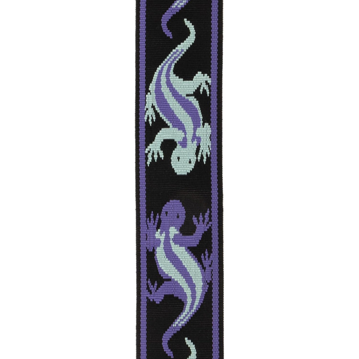 Струни для гітари D'Addario Auto Lock Vintage Planet Waves, кольори: зелений/блакитний, ширина 6.35 см