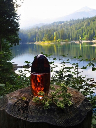 Парфумована вода Calvin Klein Obsession для жінок, 100 мл