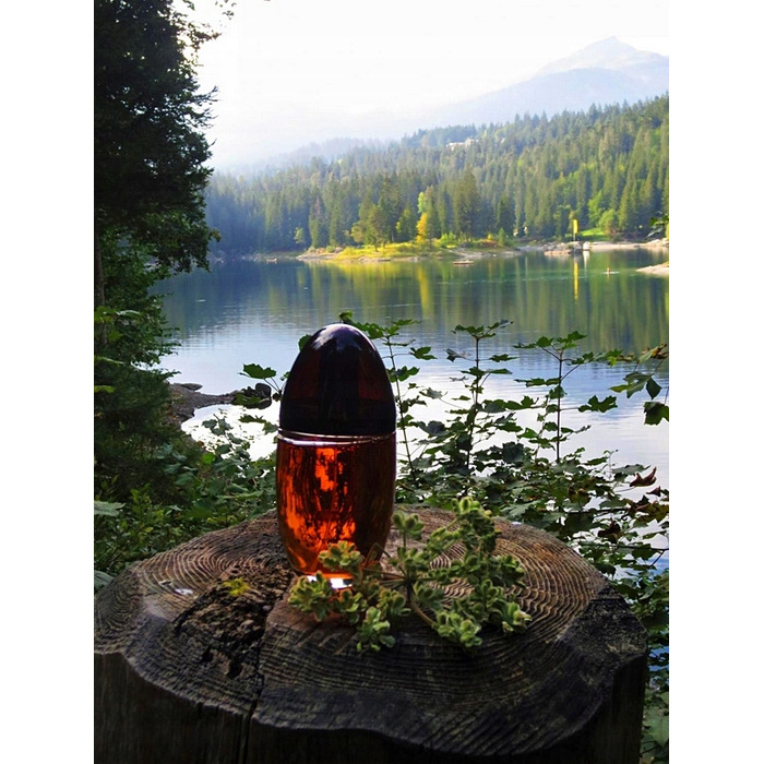 Парфумована вода Calvin Klein Obsession для жінок, 100 мл