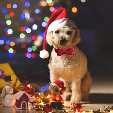 Нашийник для собак Aring з бантиком, регульований, м'який, темно-зелений (S, червоний), подарунок для дівчаток та хлопчиків