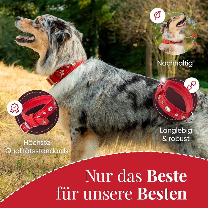 Julieta Leine, Leather Dog Leash, Leather Lead Dog, MATCHES Julieta Collar, Red, Leather, with Lilies, Rhinestones, and a Large Crystal (Neck circumference 52-58cm)