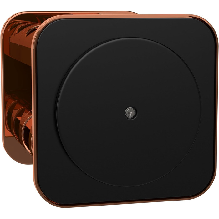 bonVIVO Rondo: поворотна підставка для спецій на 12 відділень, нержавіюча сталь, сріблястий колір, регульоване спеційне карусель, спеційне коло для солі та перцю (мідь)