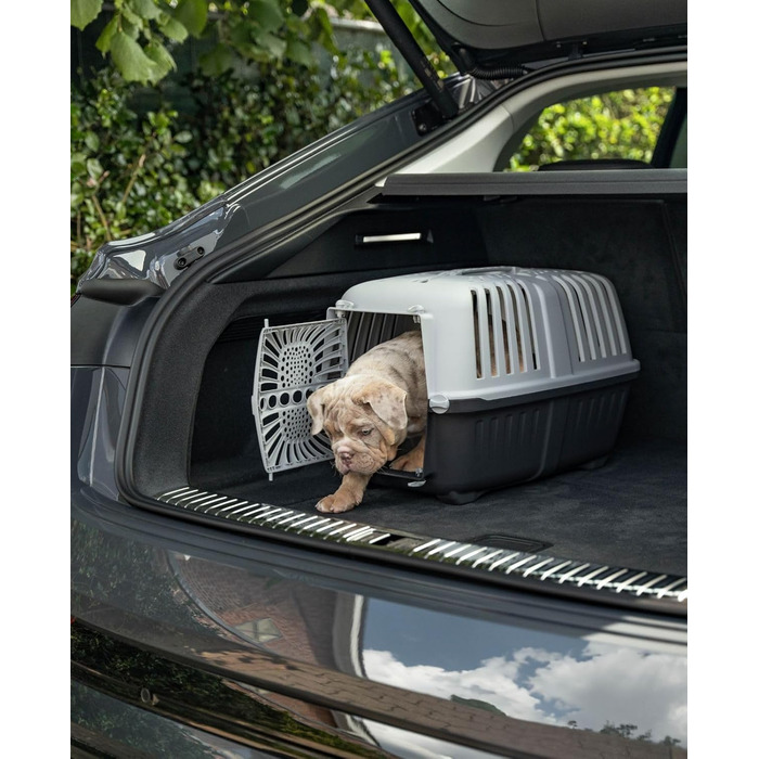 Транспортний бокс для собак Lionto, 55x36x36 см, з ручкою, для собак та котів, до 15 кг, блакитний