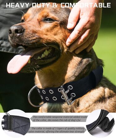 Dog Collar for Large Dogs - 5 cm Wide Collar with Handle for Extra Large Dog Breeds, Black, Soft Padded Neoprene Nylon Dog Collar for Large Dogs Big Dog Collar 56-66cm