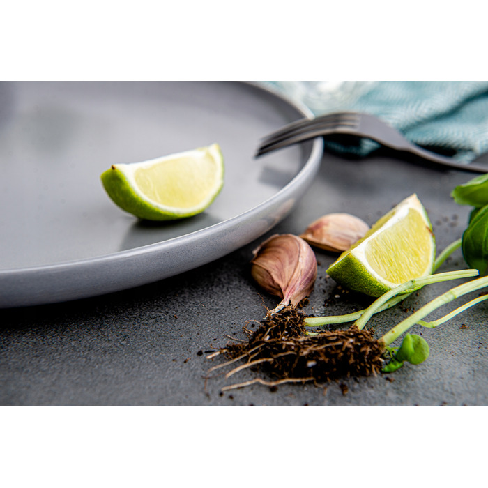 Обідній сервіз Konsimo Victo, 18 предметів