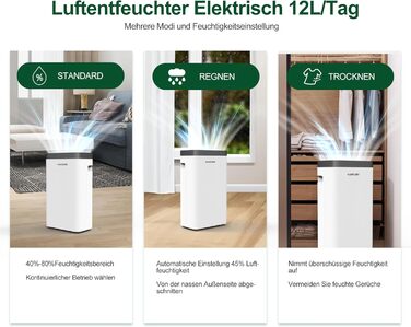 12L/Day Dehumidifier, Electric Dehumidifier with 1.2m Drain Hose, Room Dehumidifier with LED Display, Clothes Drying, Drain Hose, 24H Timer and Defrost, Ideal for Basements, Against Humidity