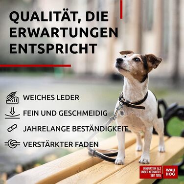 Нашийник для собак WAUDOG: шкіряний нашийник для великих, середніх та маленьких собак, цуценят. Ширина 15 мм, довжина 27-36 см. Чорний колір.