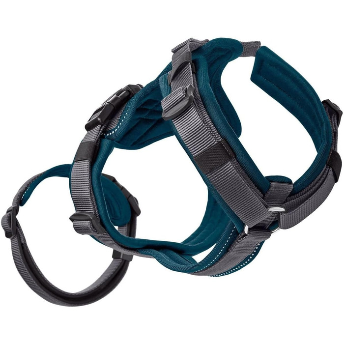 Нашийник для собак Maldon, колір petrol/сірий, розмір L