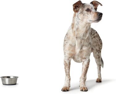 Миска для тварин HUNTER з нержавіючої сталі, 550 мл, з силіконовим дном, легко миється, довговічна