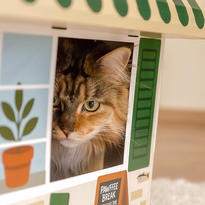 Будиночок для котів 