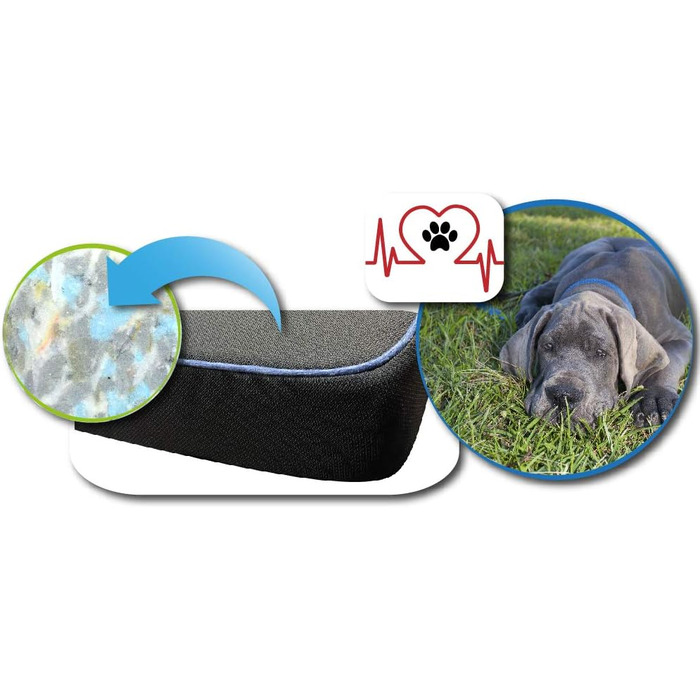 FORTISLINE Dog Mat Dog Bed OAHU Plus 2 Sizes 4 Colors (XL - 120x80x8cm, ) (L - 90x60x8cm, Blue)