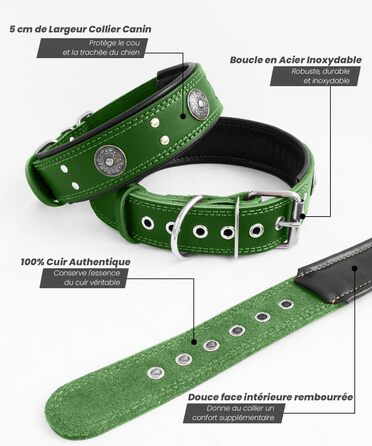Leather Dog Collar, 5 cm Wide Robust Genuine Leather Collar, Handcrafted, Soft and Luxurious, Striking Best Choice for Large and Medium Dog Breeds (42-52 cm, green)