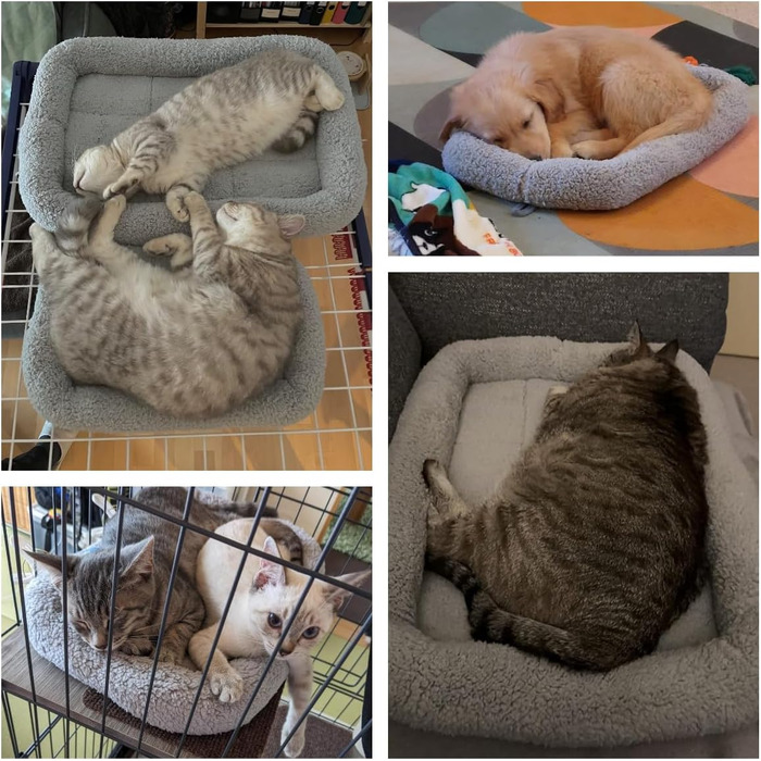 Килимок для котів та собак PETLESO: м'який, з антиковзною основою, 56x41 см