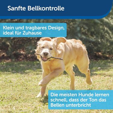 Шлейка PetSafe Easy Walk Deluxe для собак середнього та великого розміру, без обмеження руху, з м'якою підкладкою, з поводом 1,8 м, блакитно-чорна