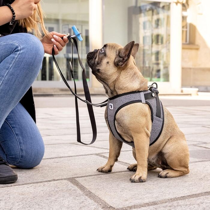 Шлейка для собак Merino curli Clasp чорна L