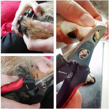 Професійний кусачки для нігтів собак та котів з пилочкою (червоний)