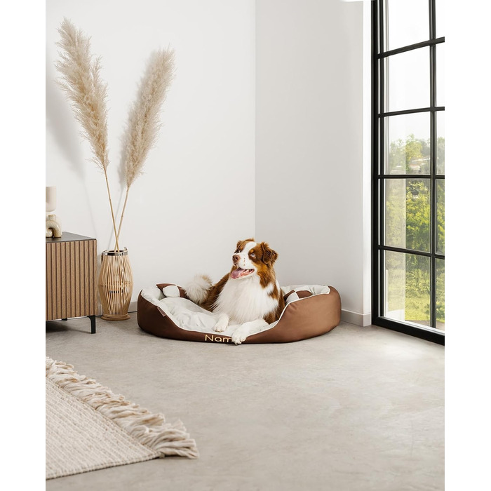 Ліжко для собак та котів Lionto 4-в-1 з поворотним подушкою, 65x50 см, з міцного оксфорду, водовідштовхувальне, з глибоким входом, з декоративною подушкою, для всіх розмірів, (колір: коричневий/бежевий)