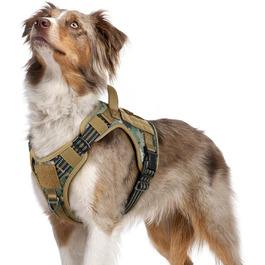 колір: камуфляж брауна