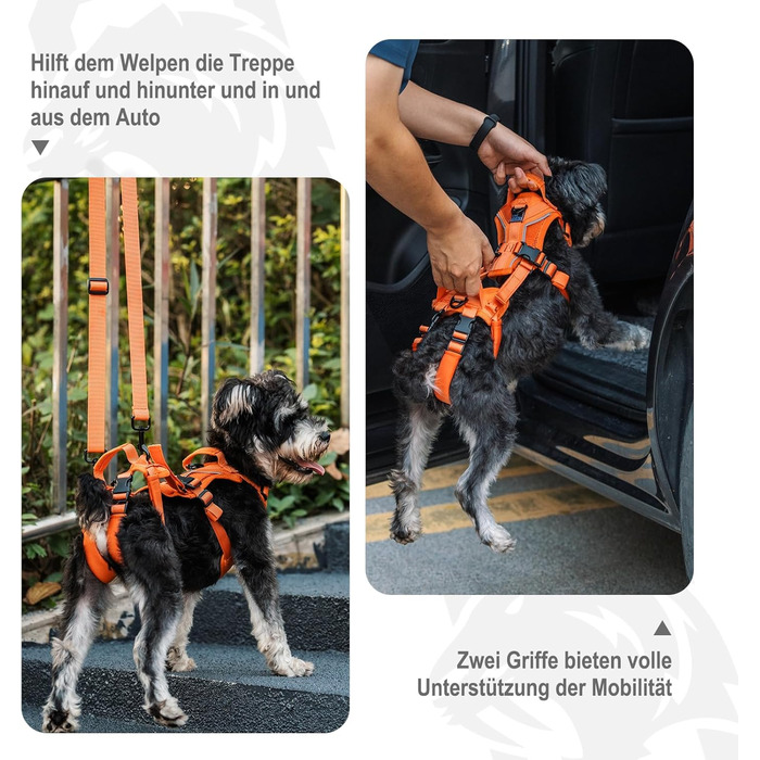 Шлейка для собак OneTigris Hopper для підтримки та реабілітації, XS (S:8-15кг, Обіх:36-51см, Грудка:51-69см), Помаранчевий