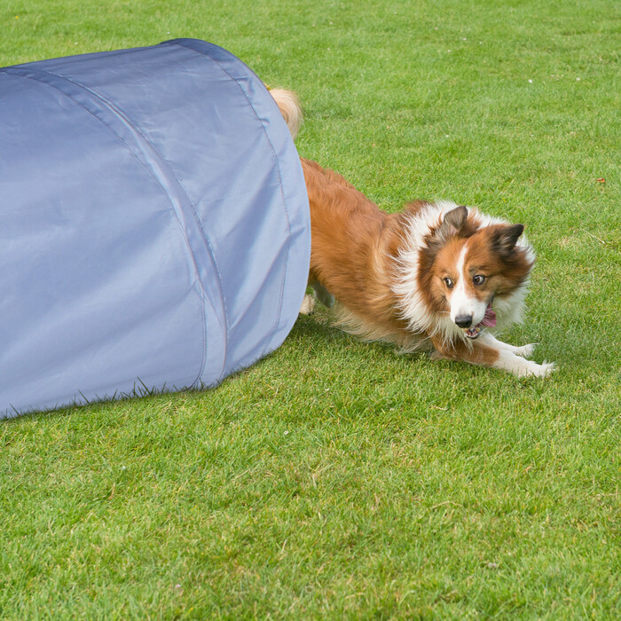 Relaxdays Dog Tunnel Agility 2m