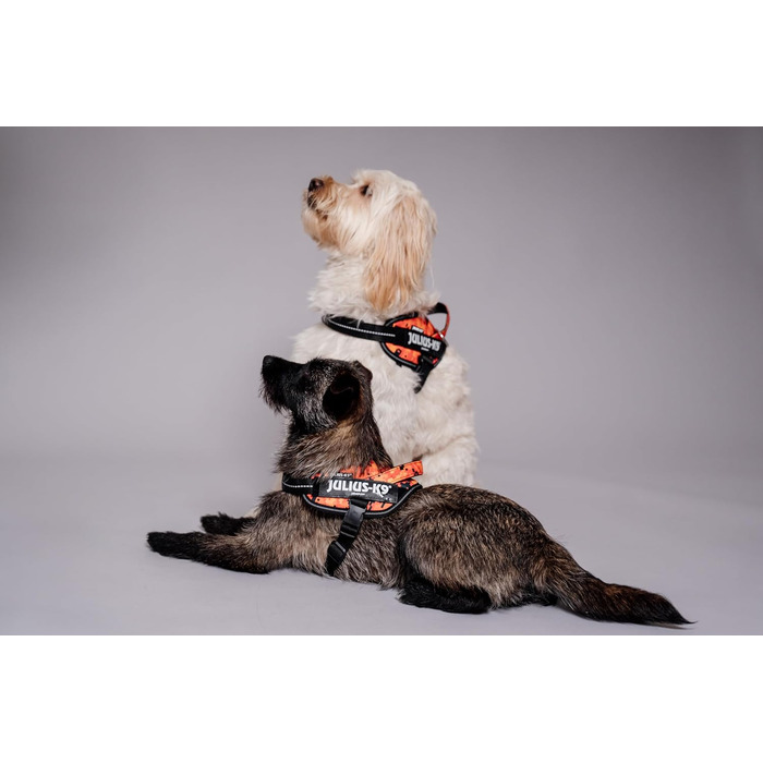 Шлейка Julius-K9 Power&More для собак, розмір XS, Pixeljuice