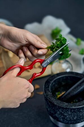 Кухонні універсальні ножиці ZWILLING 20 см, нержавіюча сталь, сріблясті, багатофункціональні, виробництво Німеччина