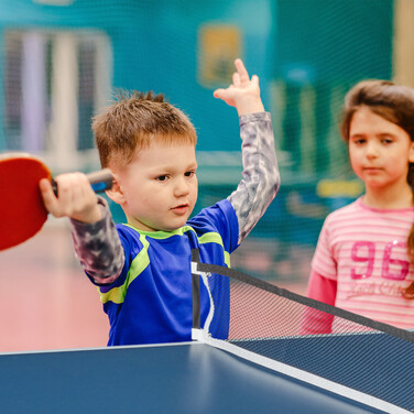 Relaxdays Indoor Table Tennis Table in Blue