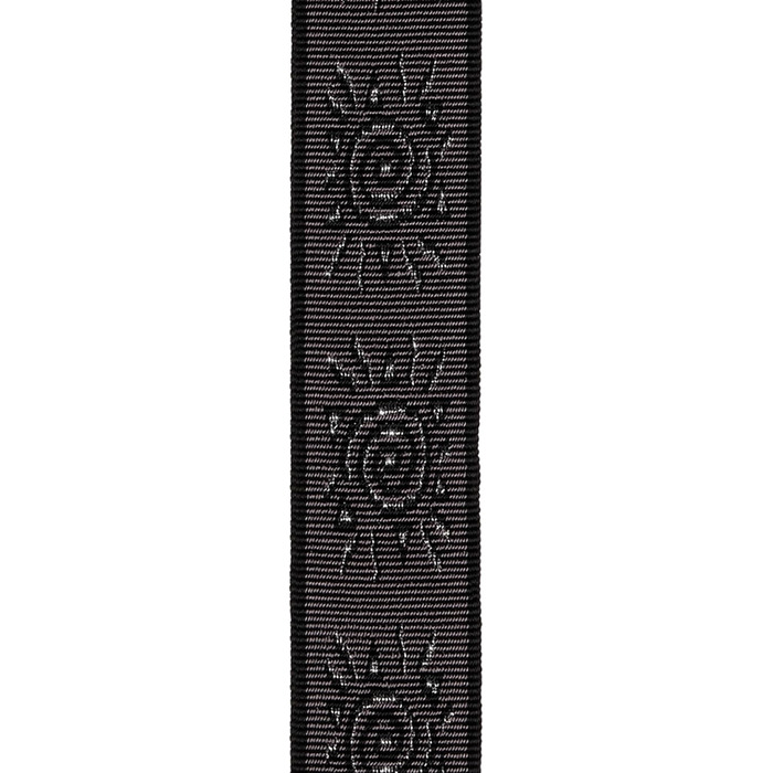 Набір струн D'Addario Auto Lock Vintage Planet Waves, Екшн Зелений/Синій (срібний, 6.35 см)