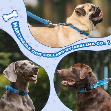 Нашийник для собак Martingale, світловідбиваючий, з зупиняючою функцією, для великих, середніх та маленьких собак, нейлон, блакитний, розмір L