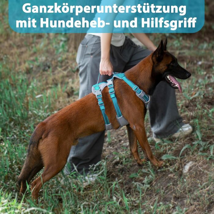 Шлейка безпеки Huntboo для собак, антизламна, від паніки, з ручкою, регульована, для малих, середніх та великих собак (M), блакитно-зелений (1 шт.)
