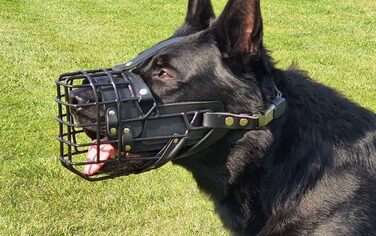 Dingo Gear Rubberized Metal Dog Muzzle for Malinois - Professional, Comfortable, Universal for Long Walks (S03048 Malinois L)