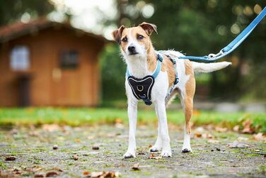 Професійний посуд Wolters Comfort, розмір 60-70 см, чорний