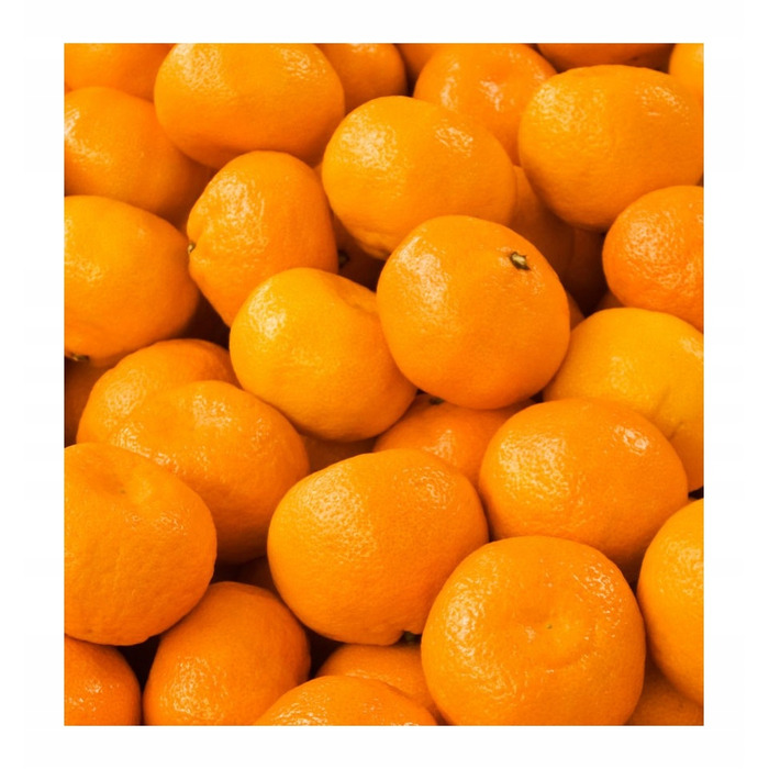 Парфумована вода Yodeyma Escitia для жінок, 100 мл