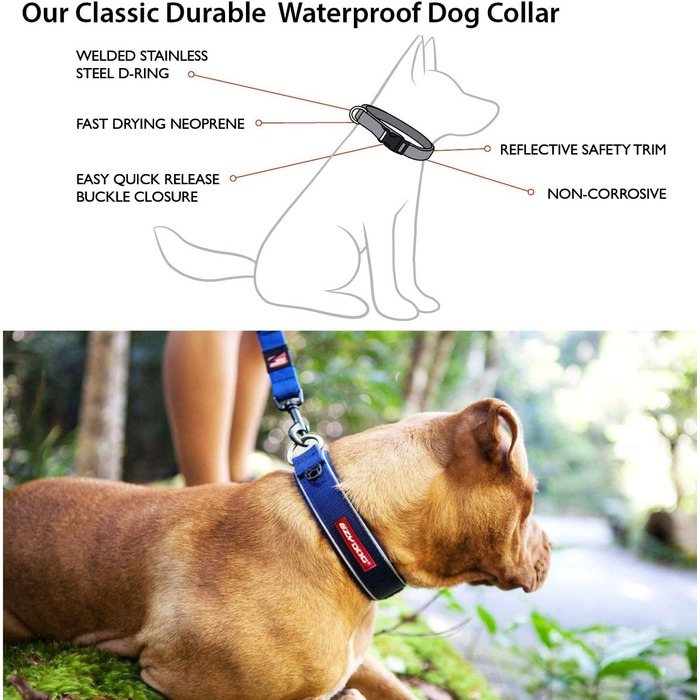 Нашийник для собак EzyDog Camo (M, L) - Неопрен, Водостійкий, Світловідбиваючий