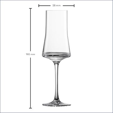 Набір келихів для вина Zwiesel Glas Allround Echo (4 шт.), німецька якість, Tritan-кришталь, для миття в посудомийній машині