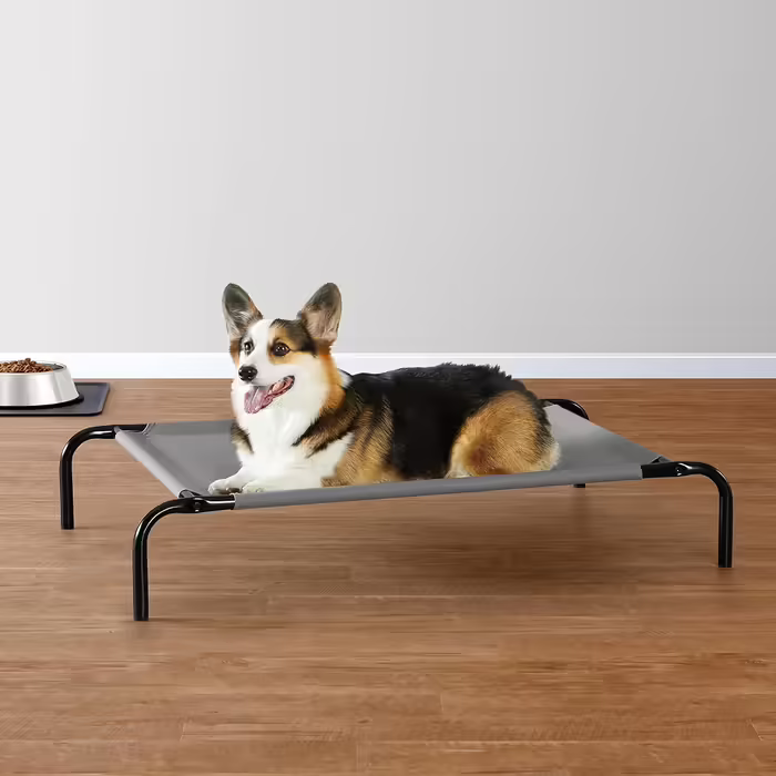 Підняте охолоджуюче ліжко для собак Amazon Basics, сіре, 130x80x19 см (M)