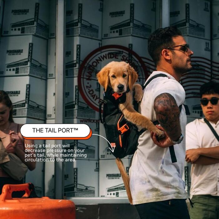 Рюкзак-переноска для собак Little Chonk Maxine One Medium, чорний, для середніх порід, регульований, для подорожей та хайкінгу